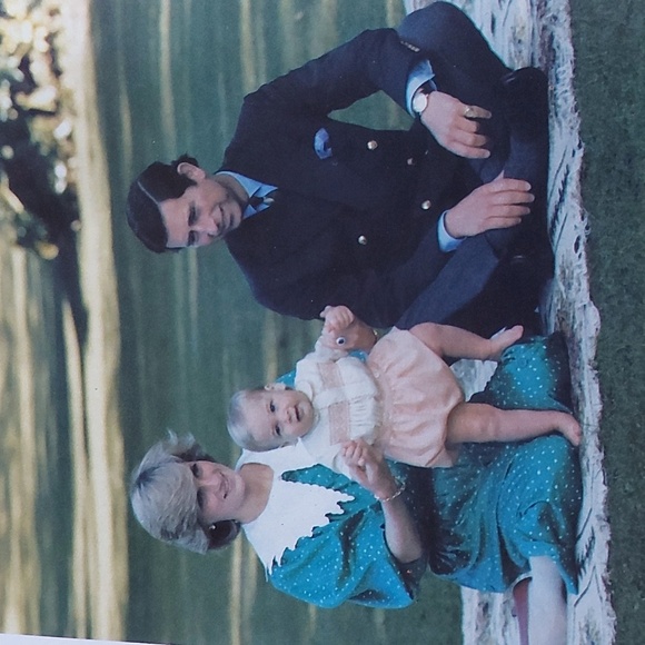 Book- Lives of the Princesses of Wales - Picture 6 of 6